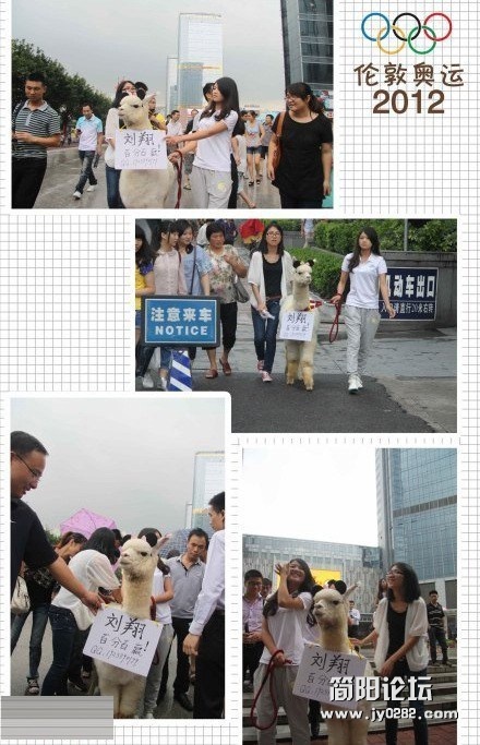 神兽备受大家喜爱.jpg