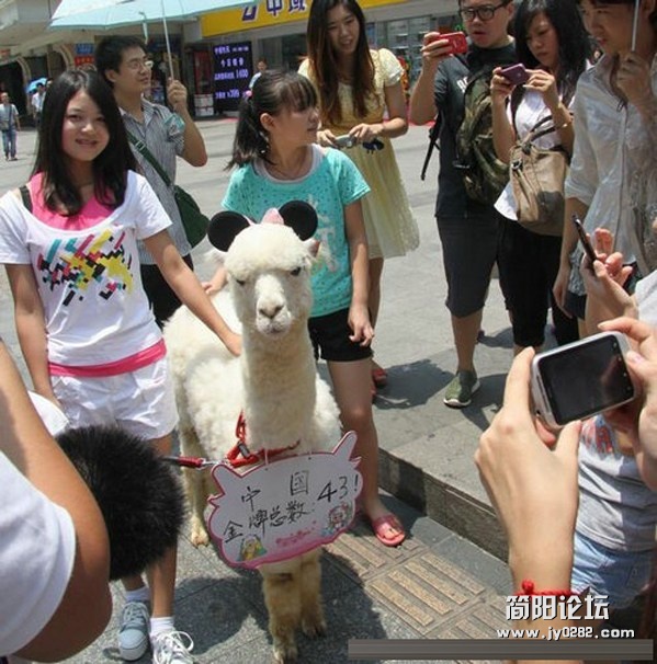 神兽不怯场.jpg