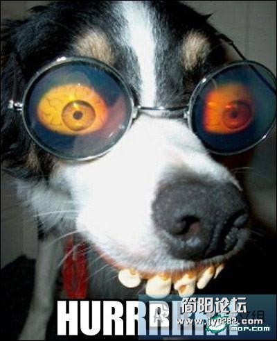 20120709134444236744129265997.jpg