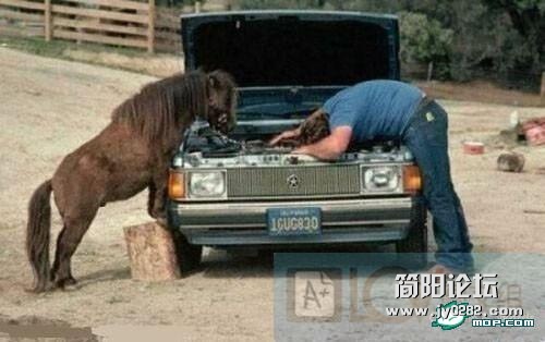 201207091344442553808243321721.jpg
