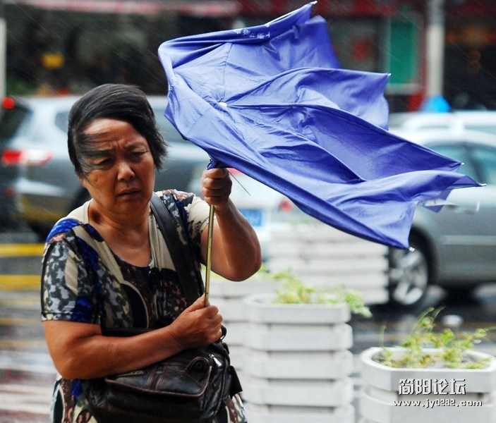 台风“海葵”来袭 实拍上海街头“众生相”88F3VJCA00AN0001.jpg