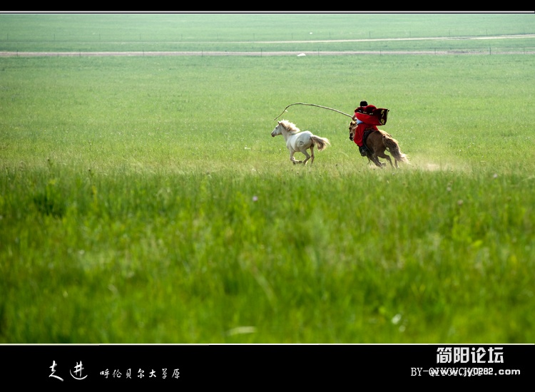 呼伦贝尔大草原06.jpg