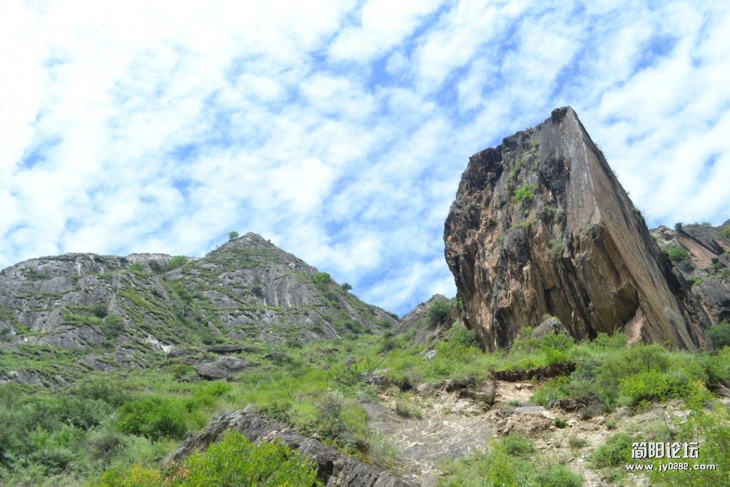DSC_0429.JPG