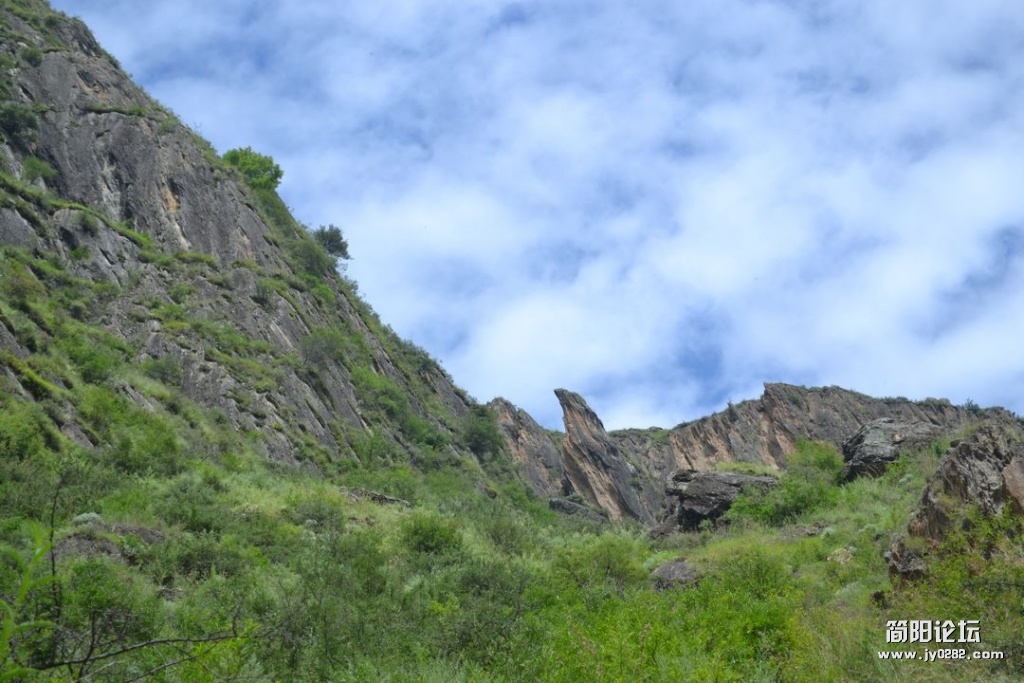 DSC_0431.JPG