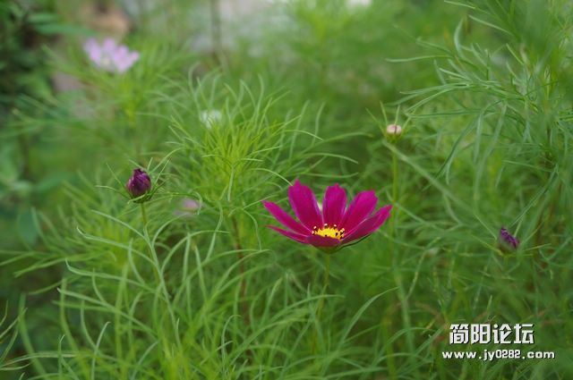 DSC00773.jpg