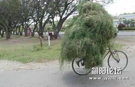 未命名.jpg