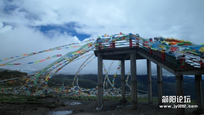 85.jpg