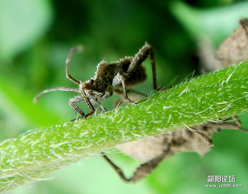 nEO_IMG_DSC05626副本.jpg