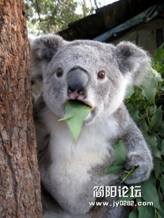 20120222094219_iHCFx.jpg