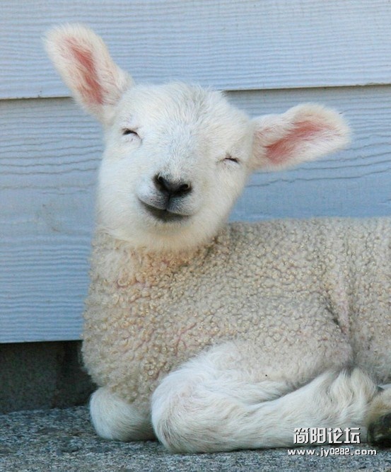 20120605204558_XFZnn.jpg