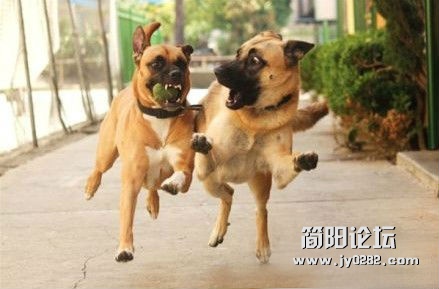 朋友就要一起疯，一起二。.jpg