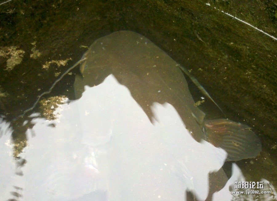 2012-08-14_17-37-26_366.jpg