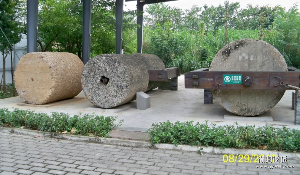 35.jpg