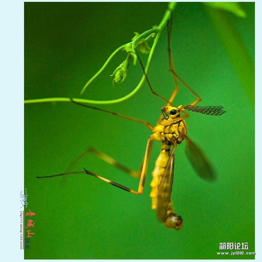 青城风光——05.jpg