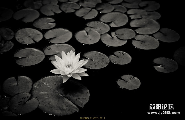 fjing (21).jpg