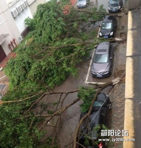 未命名.jpg