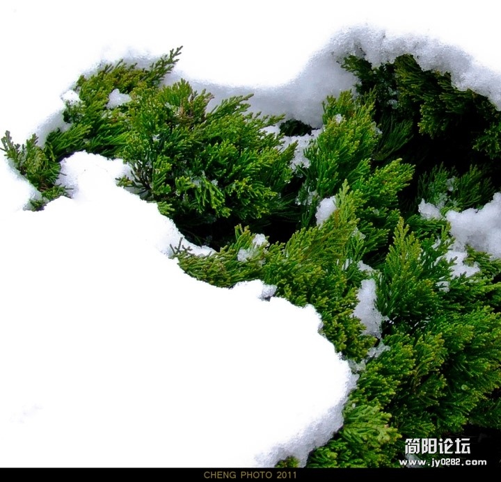 fjing (50).jpg