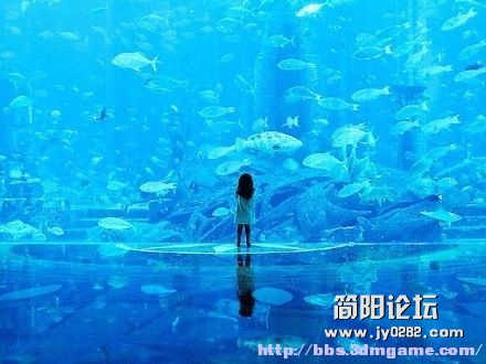 fjing (116).jpg