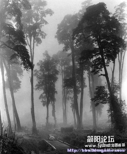 fjing (204).jpg