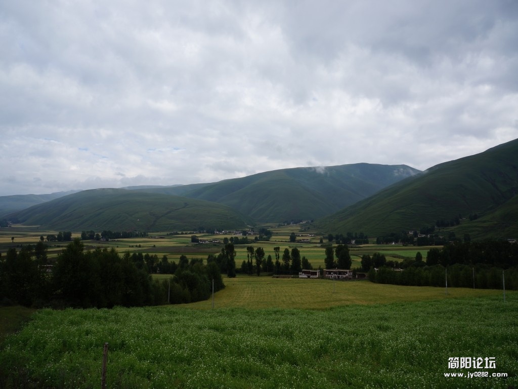 dsc00507_conew1.jpg