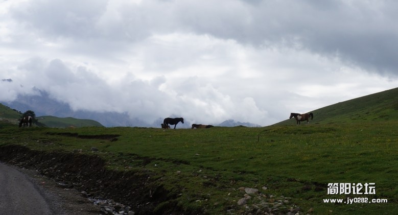 dsc00546_conew2.jpg