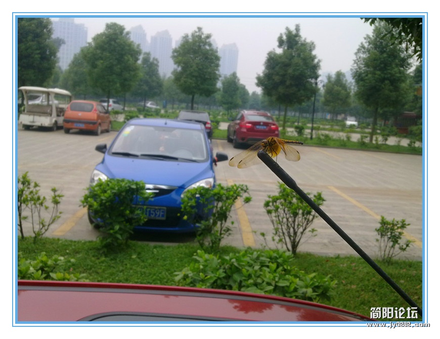 20120907964_副本.jpg