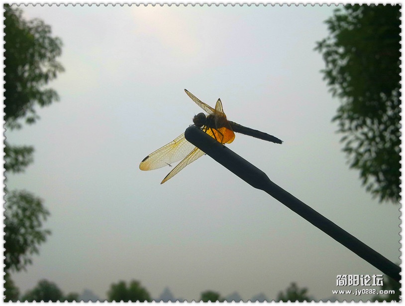 20120907967_副本.jpg