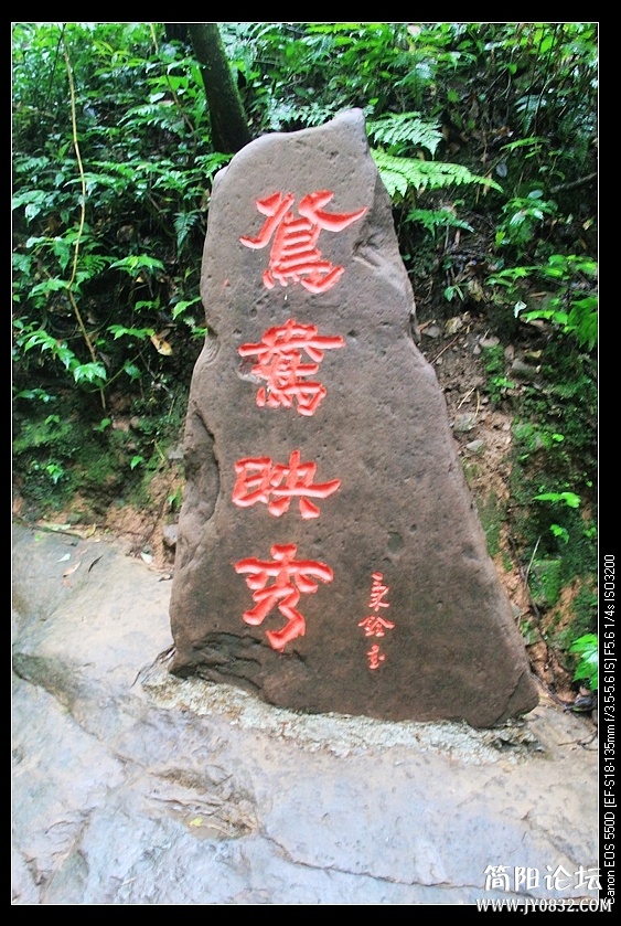 nEO_IMG_IMG_3550.jpg