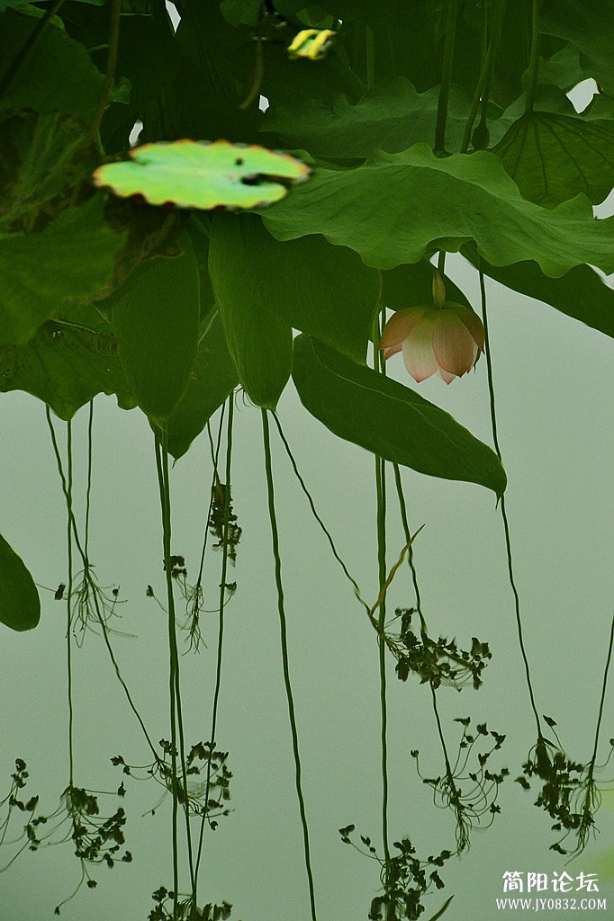 dsc_0407.jpg