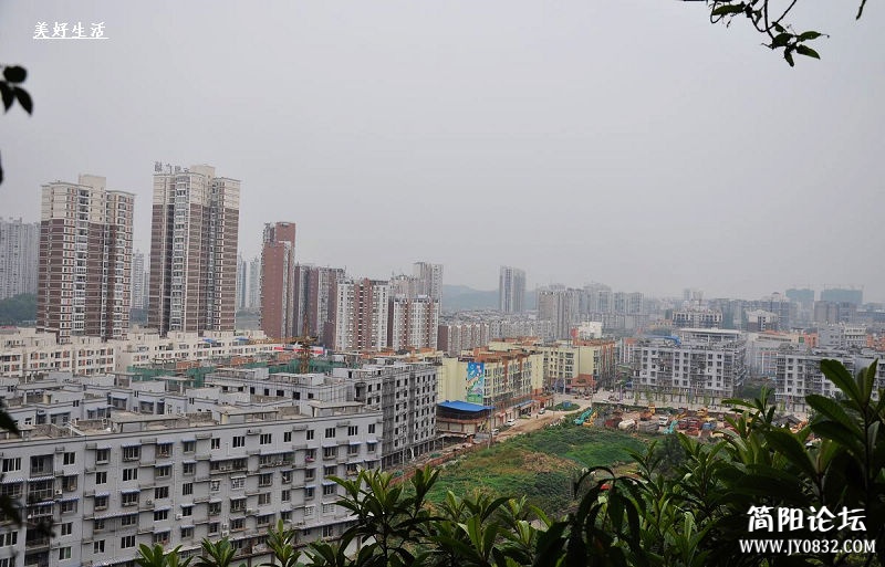 DSC_0517.jpg