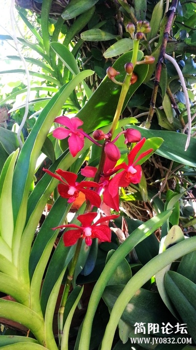 nEO_IMG_20120908_102725.jpg