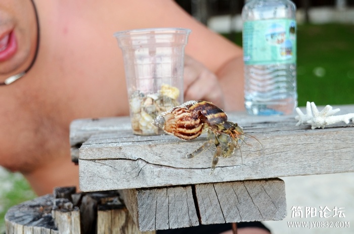 nEO_IMG_DSC_0927_conew1.jpg