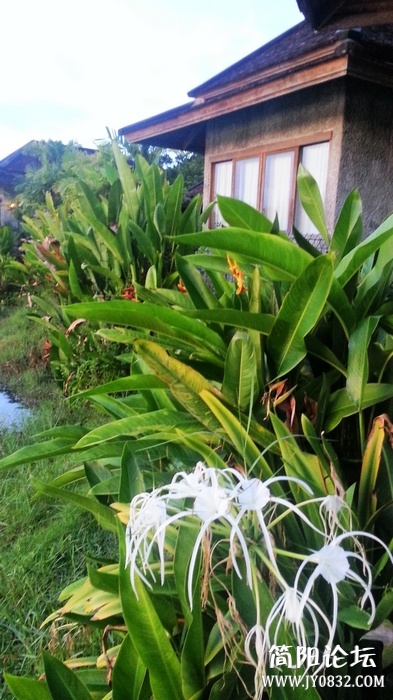 nEO_IMG_20120912_073025.jpg