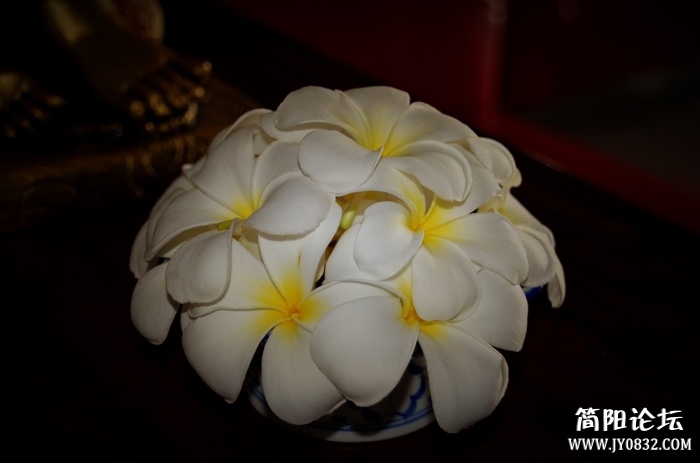 nEO_IMG_DSC_1166.jpg
