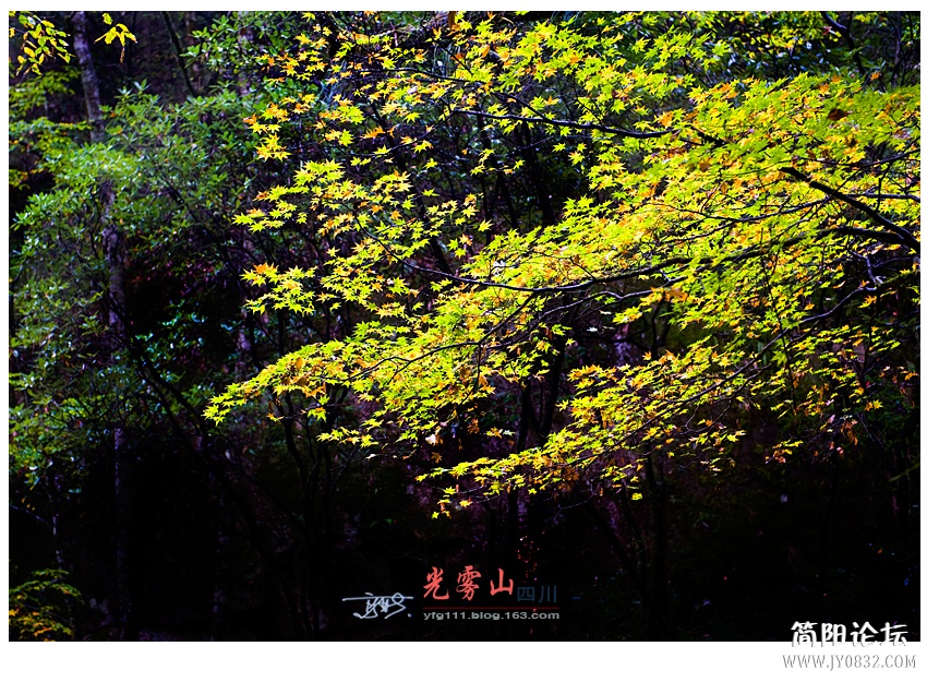 光雾山（一）——12.jpg