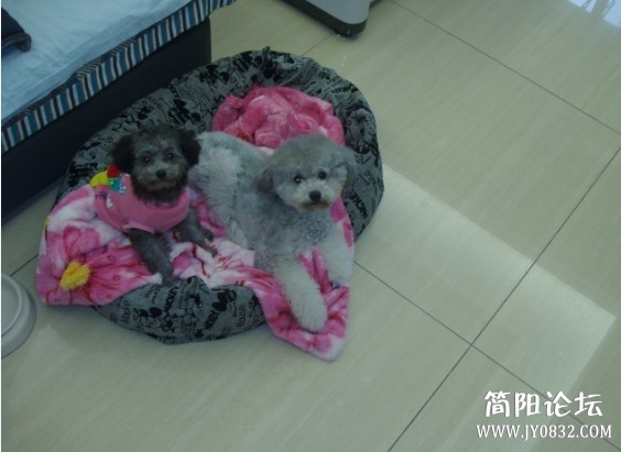 母子照