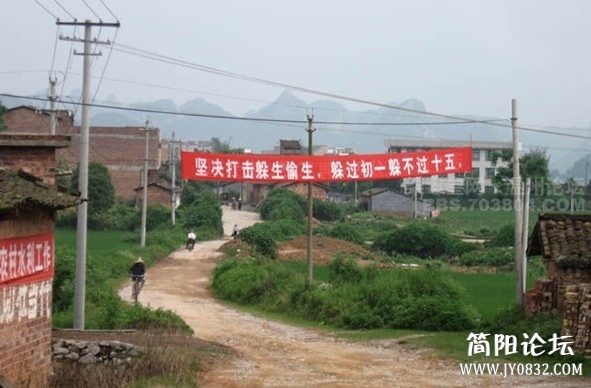 b2012261100029454320.jpg