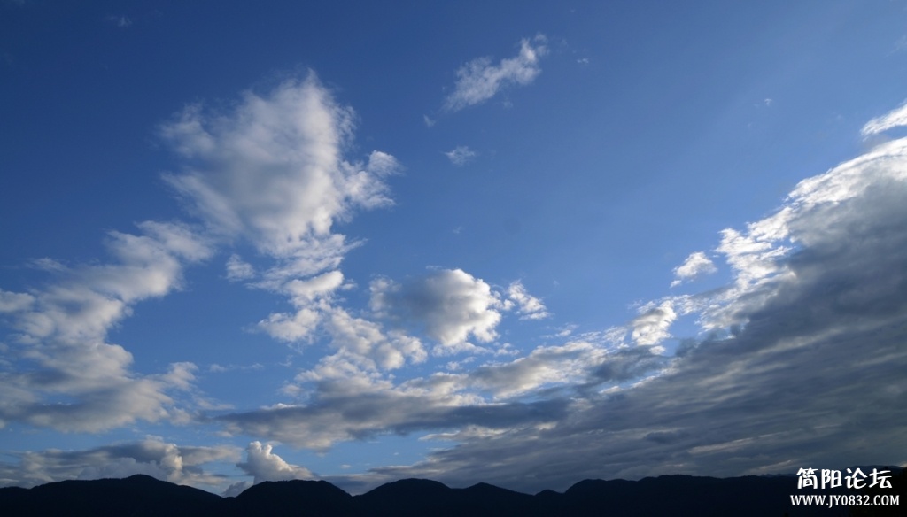 照片 1333.jpg