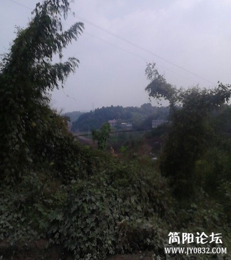 未命名.jpg