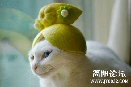 未命名.jpg