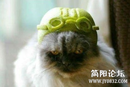 未命名.jpg