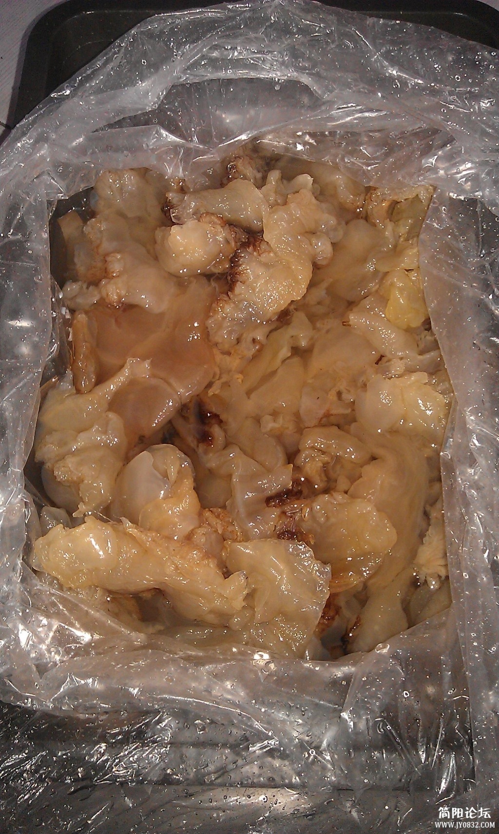 IMAG0333.jpg