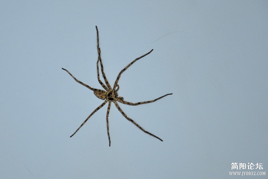 DSC_0049.JPG