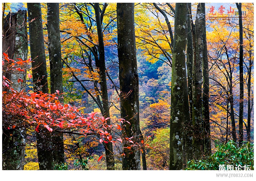 光雾山（二）——02.jpg