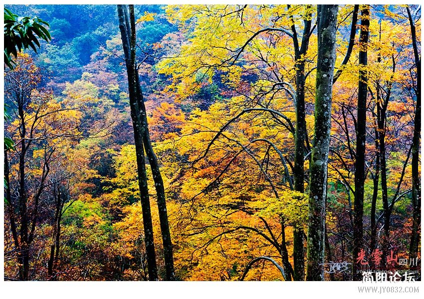 光雾山（二）——05副本.jpg