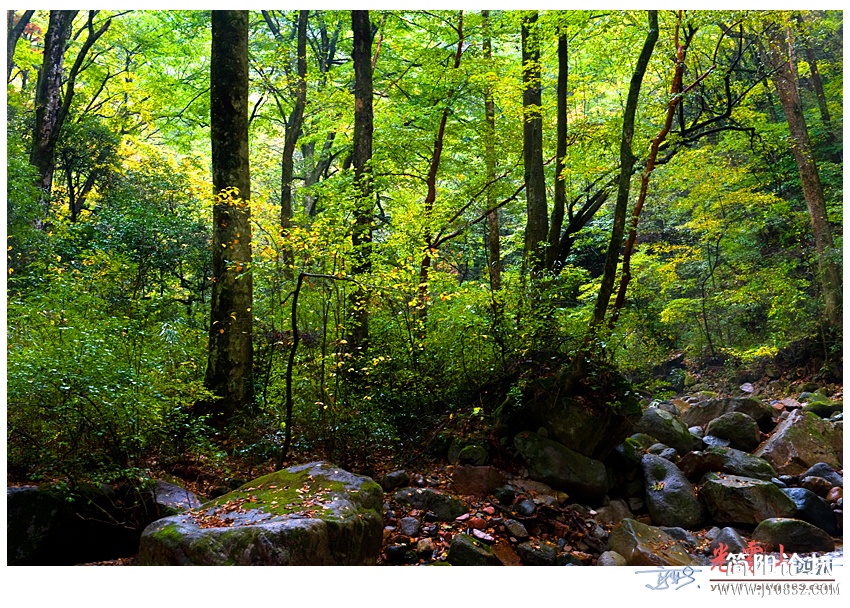 光雾山（二）——10.jpg