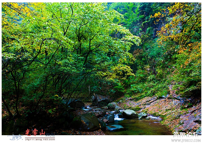 光雾山（二）——08副本.jpg