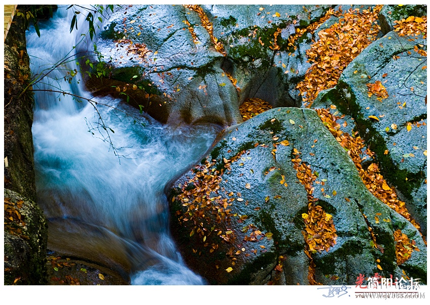 光雾山（二）——11.jpg