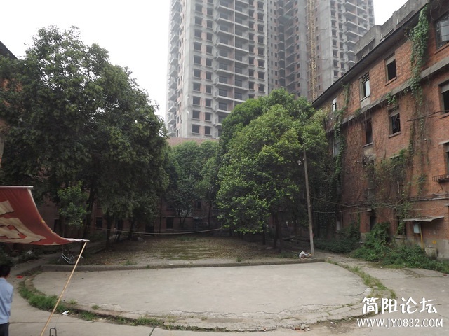 DSCF9075.jpg