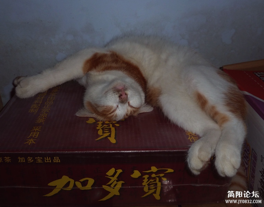 在加多宝上睡，就凉快的多咯。